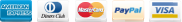 Payment logo