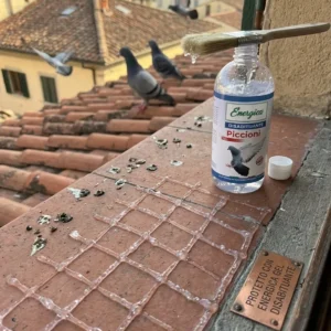 Gel Disabituante Piccioni per Balconi e Terrazzi