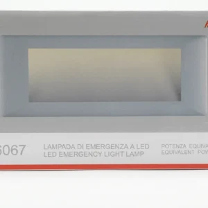 Lampada di Emergenza LED